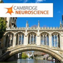 Cambridge neuroscience logo