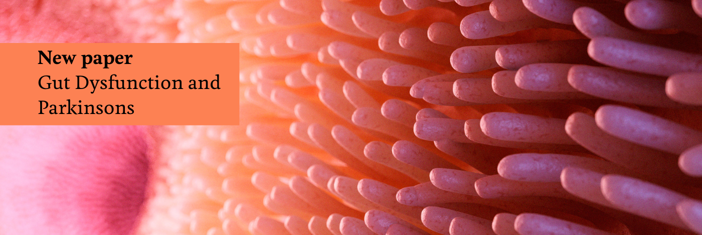 Gut study header